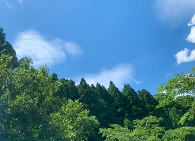 フォレスト商会