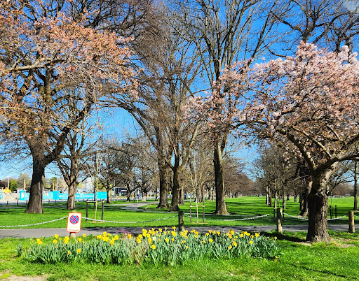 Hagley Park South - Thumbnail