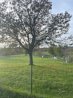 Alternative maison de retraite à Condat-sur-Trincou