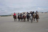 Écurie de la Haye - ex : Écuries des Parpaillots à Nesles