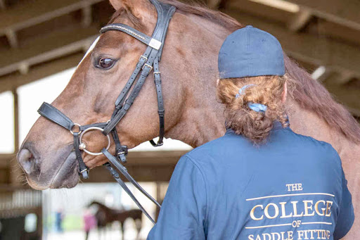 The College of Saddle Fitting - Thumbnail