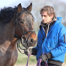 Photo n°15 de Ecurie First à Froberville (Éleveur de chevaux)