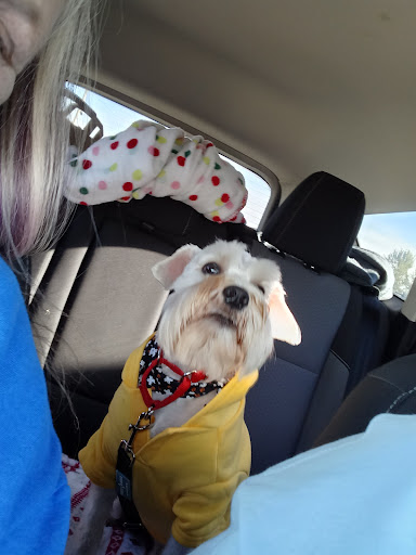 Thousand Island Animal Hospital - Thumbnail