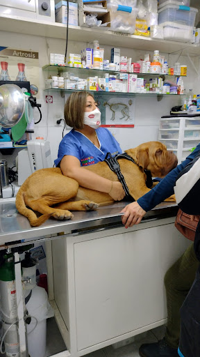 Hospital Veterinario Mascota Muy Muy Feliz - Thumbnail