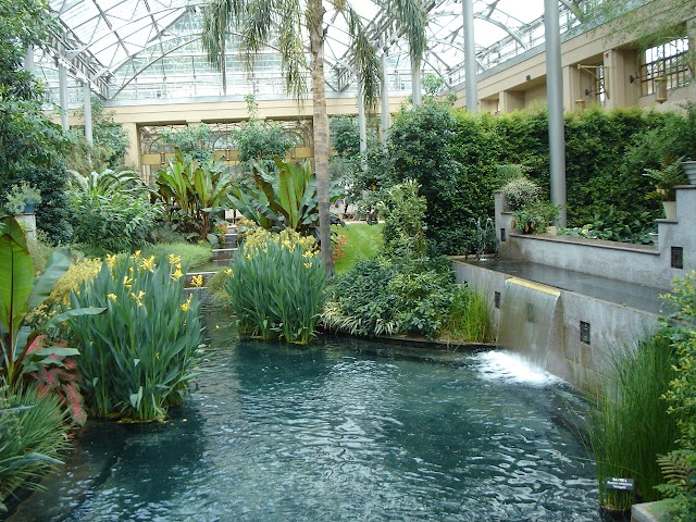 Longwood Gardens Conservatory