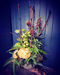Photo n°20 de Passion Verte à Cosne-Cours-sur-Loire (Fleuriste)