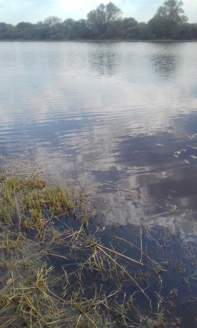 Photos of Temo Valley Farm