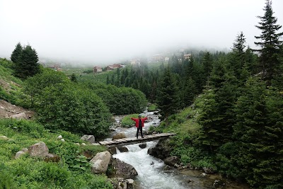 Amlakit Yaylası