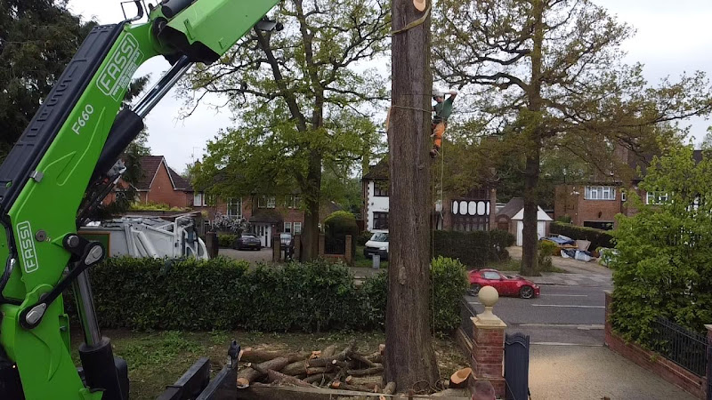 All Season Tree Services
