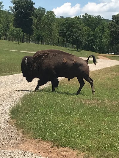 Hunt Mill Hollow Ranch