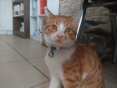 Photos of Karaca Veteriner Kliniği