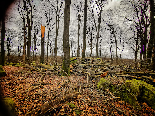 Malberg - Visual