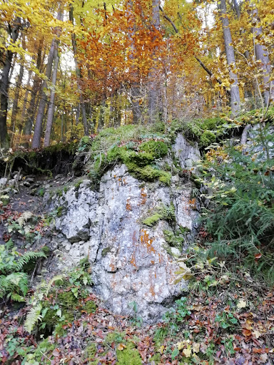 Bärental - Visual