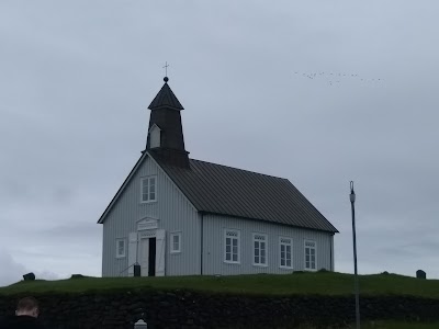 Photos of T-b&aelig;r Selvogi