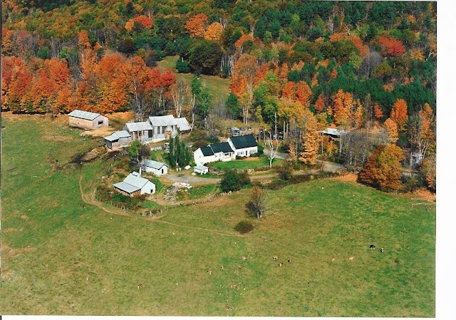 Sugarbush Farm