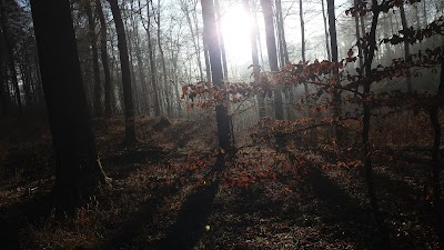 Photos of Bungalowpark Natur Pur