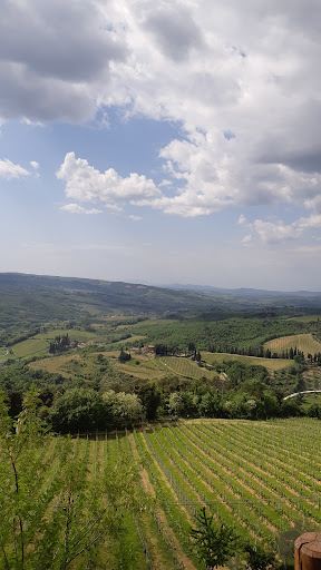 Azienda Agricola Castellinuzza e Piuca di Coccia Giuliano - Thumbnail