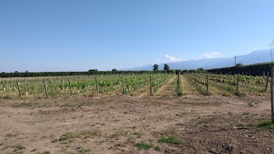 Photos of Uco Valley Crossing
