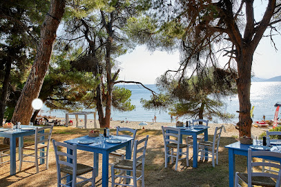 NEST Greek Fish Restaurant