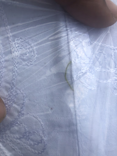 US Cleaners Inc - Thumbnail