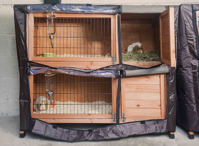 Coombe Small Animal Hotel