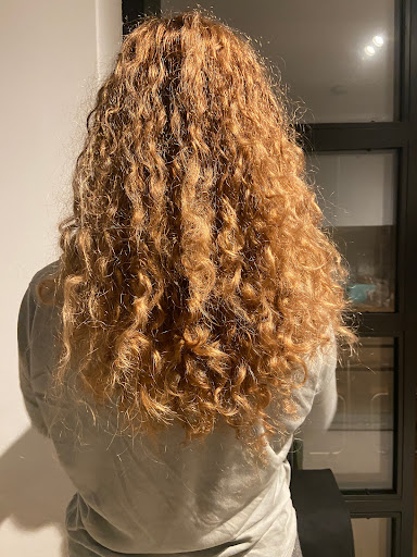 Singular Curly - Visual