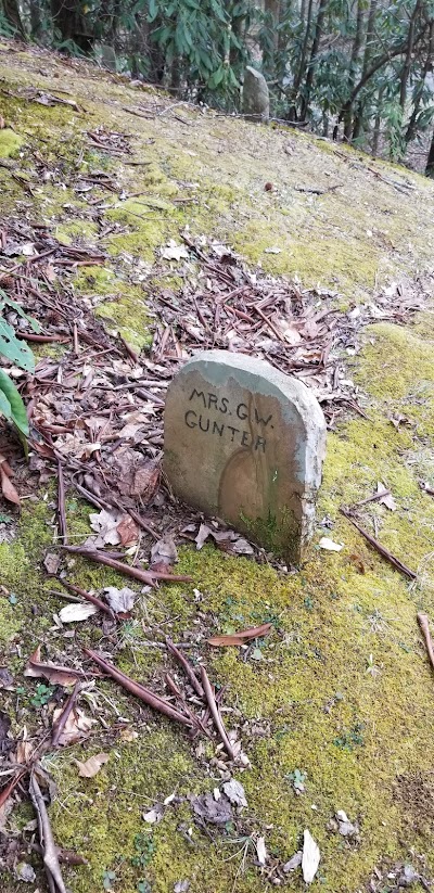 Gunter Cemetery