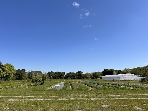 Photo de Domaine Terra à Bazas (33430)