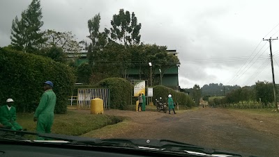 Photos of Kangaita Tea Factory