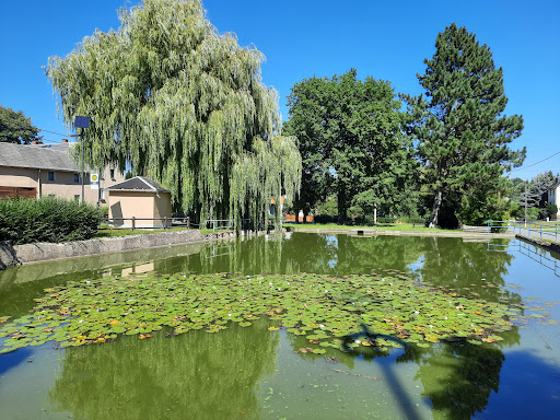 Dorfteich