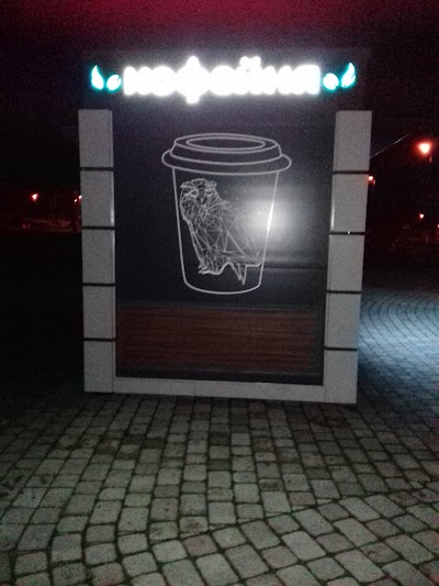 Photos of Polessky State University