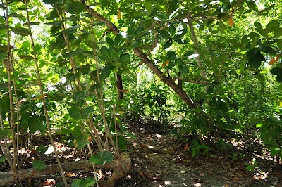 Photos of La Playita Beach - Las Galeras