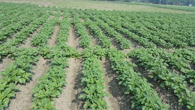 Photos of Safe Organic Farm Unit 2