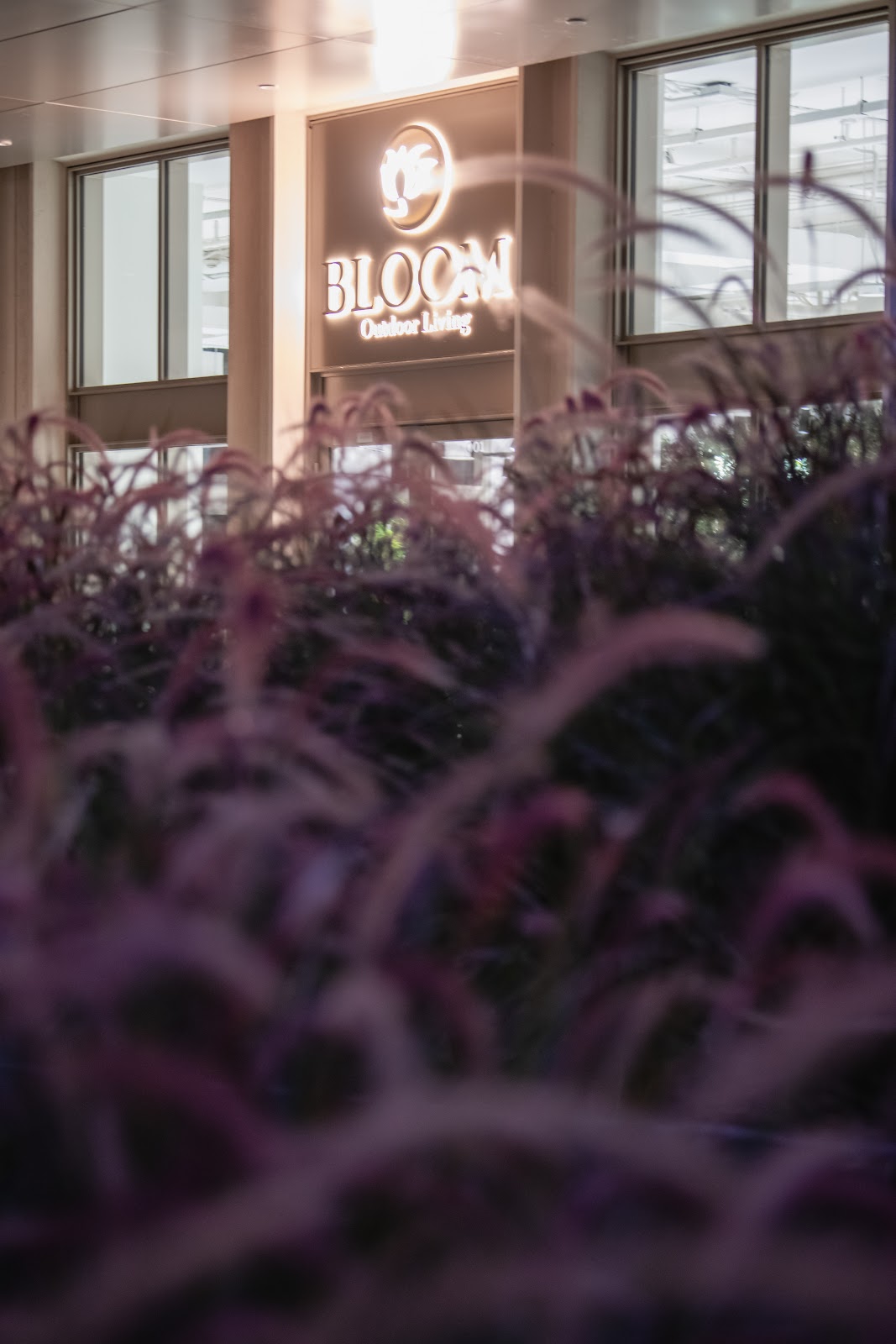 Bloom Outdoor Furniture Store Dubai - صورة 3