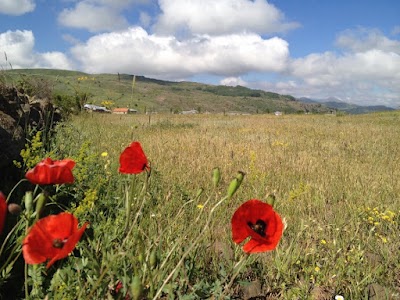 Alişir Köyü - Meryemana Village