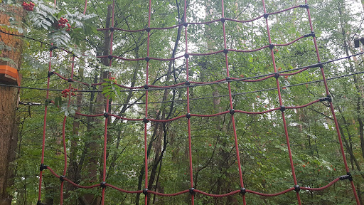 High ropes course - Heist - Thumbnail