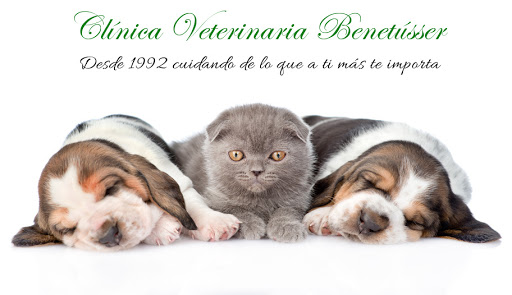 BeneVet Clínica Veterinaria