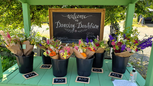 Dancing Dandelion Farms - Thumbnail