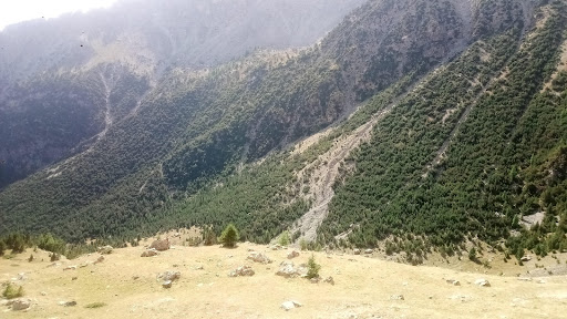 Terre noire La Valette