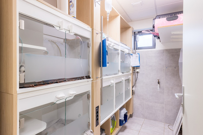 Clinique vétérinaire d'Amilly - Sevetys - Vétérinaire