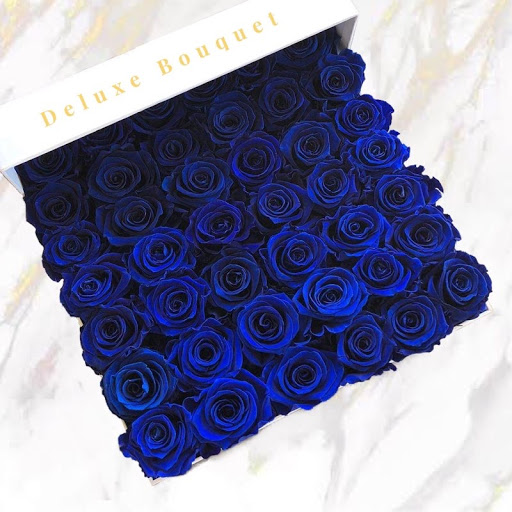 Diamrose - Thumbnail