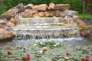 Photo n°23 de Jardin du Brule à Herchies (Attraction touristique)