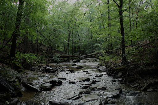 Forsyth County - Visual