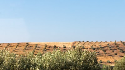 Photos of caf&eacute; el ouali