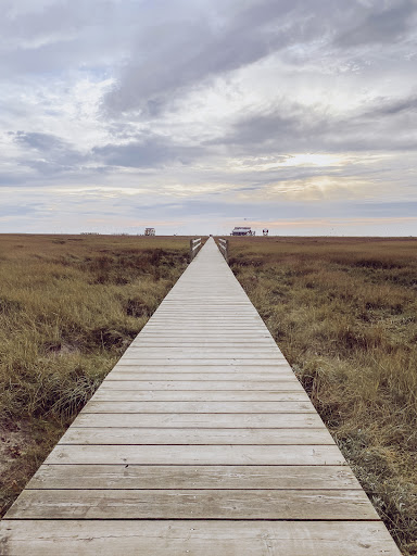 Nordsee Internat St. Peter-Ording e.V. - Thumbnail
