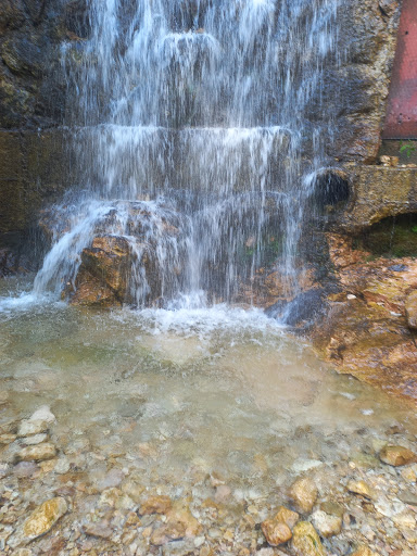 Foresta di Giazza Gallery - Italy