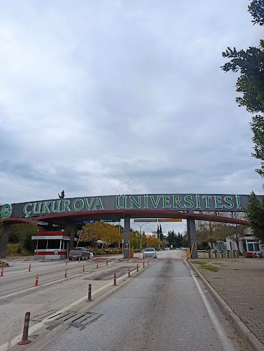 Çukurova University - Thumbnail