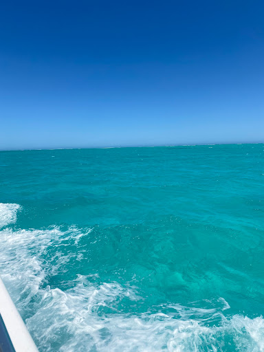 Bill's Bay - Thumbnail