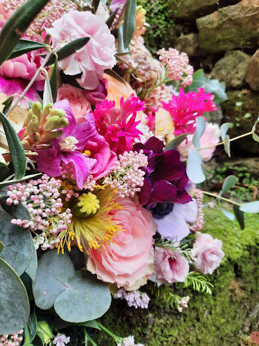 La Graine et l'Arrosoir - Vannes