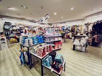 Sergent Major TRANS EN PROVENCE à Trans-en-Provence